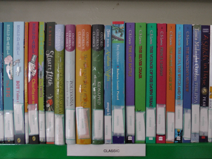 Lewa Primary books